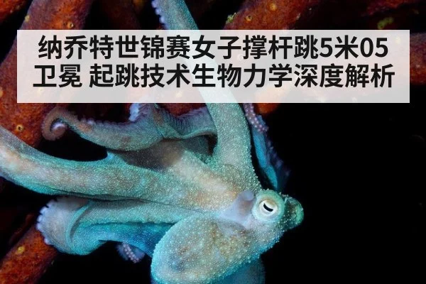 纳乔特世锦赛女子撑杆跳5米05卫冕 起跳技术生物力学深度解析